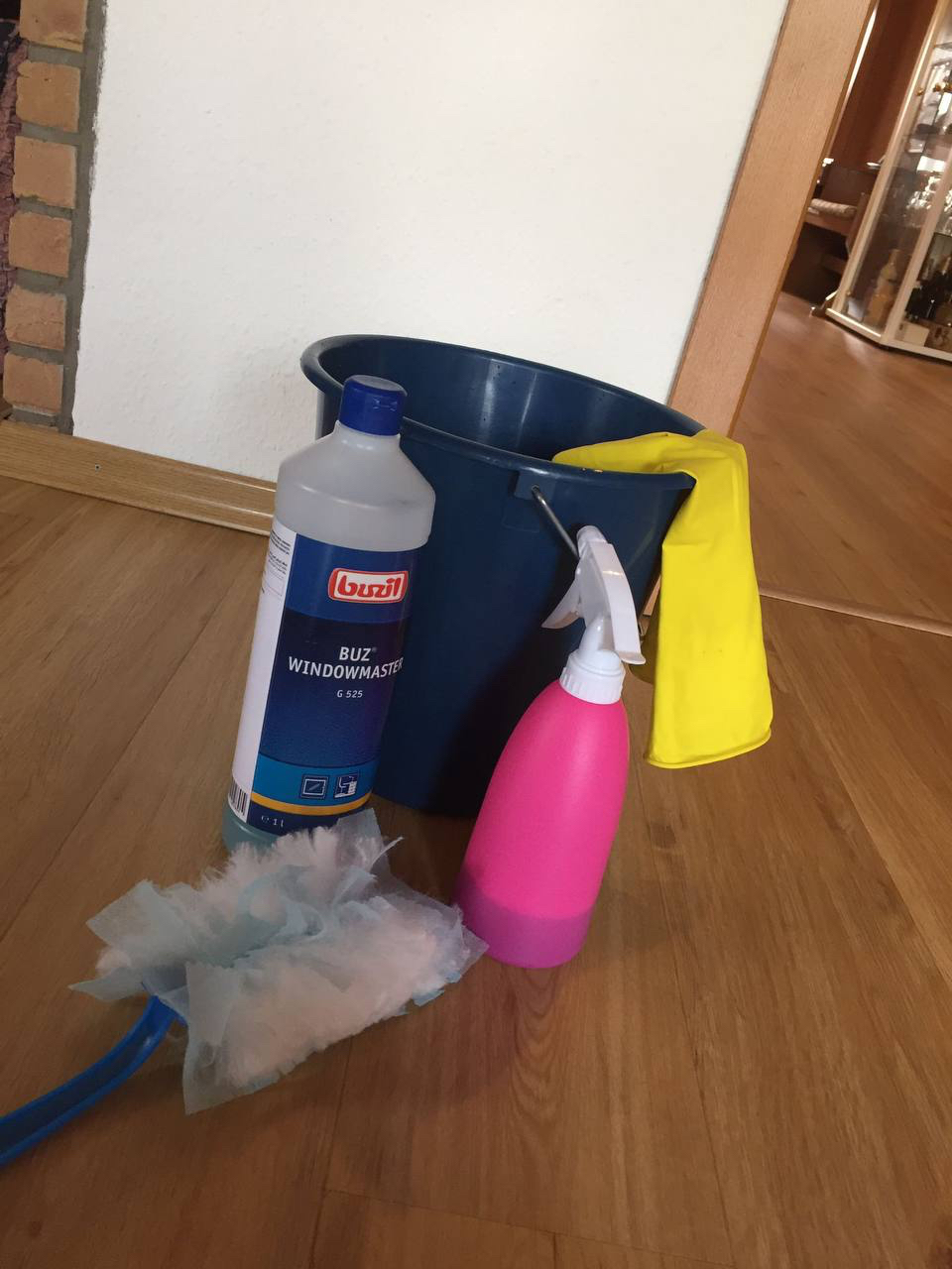 Regelmäßige Reinigung und Putzarbeiten